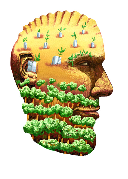 http://www.davidblaiklock.com/files/gimgs/14_blaiklockreforestation.jpg