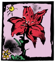 10_blaiklock95flowerillus.jpg