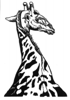 10_blaiklockgiraffe-2.jpg