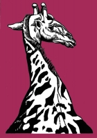 10_blaiklockgiraffe-2_v2.jpg