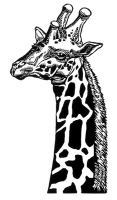 10_blaiklockgiraffe-3.jpg