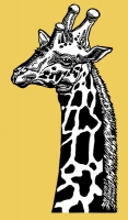 10_blaiklockgiraffe-3_v2.jpg