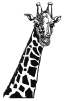 10_blaiklockgiraffe.jpg