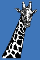 10_blaiklockgiraffeillus.jpg