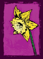 10_daffodil-copy.jpg