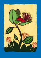 10_fejoa-flower.jpg